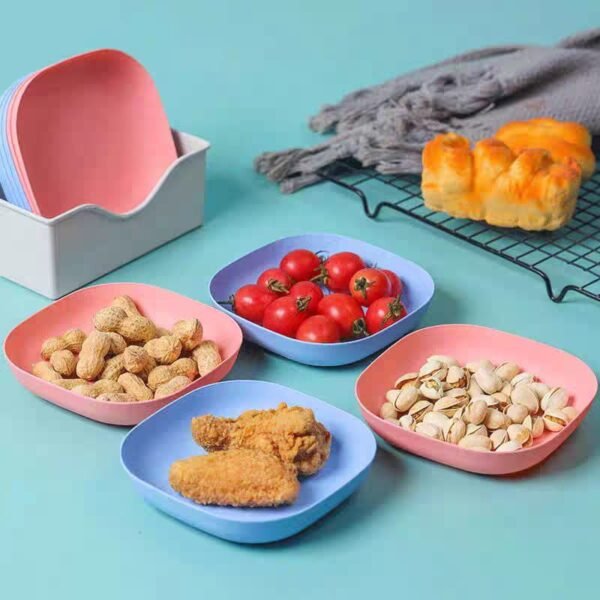 Multicolor 10-Piece Japanese Style Square Plate Set