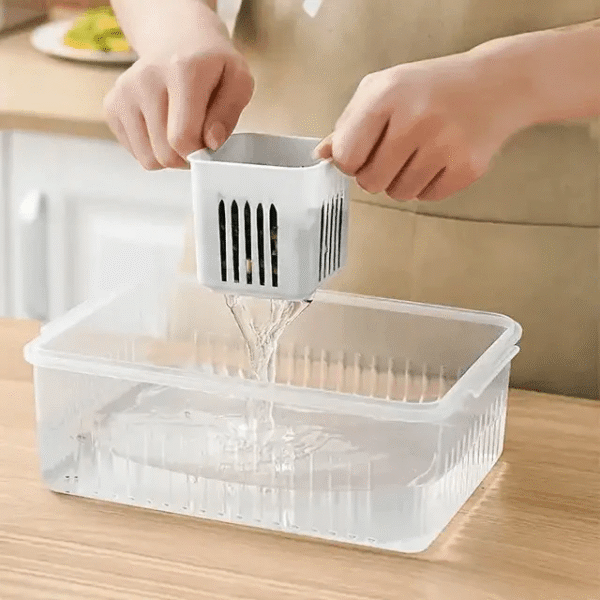 6 Grids Refrigerator Storage Box – স্মার্ট ফ্রিজ অর্গানাইজার - Image 5